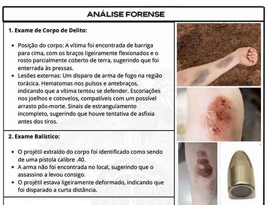 Laudos Forenses